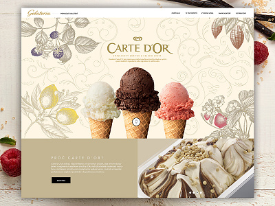 Carte d'or clean icecream inspiration modern ui ux web landing page webdesign