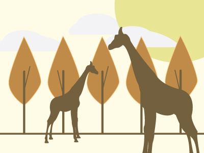 Giraffes giraffes trees