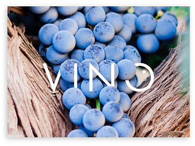 Brand | Vino brand branding design icon logo typography wine