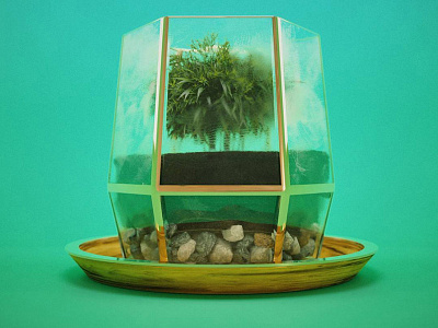 Terrarium