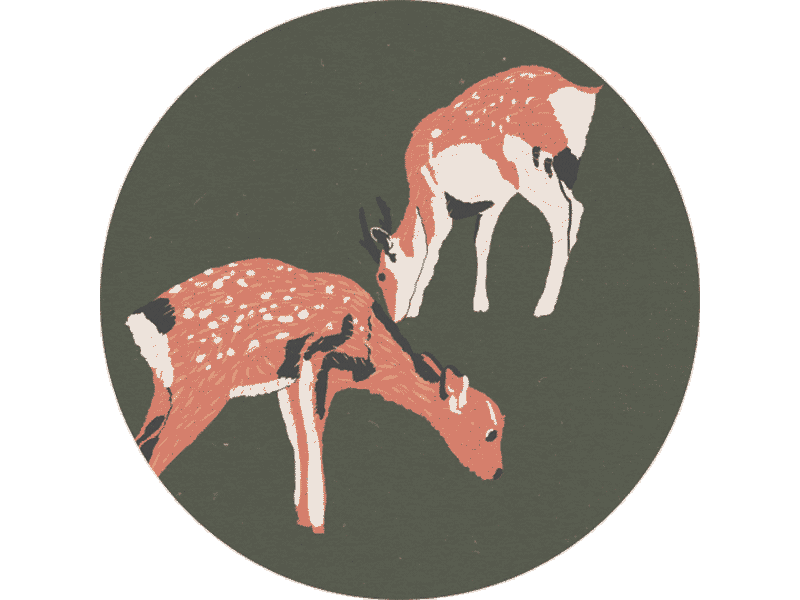 Postcard. From Setonaikai National Park. after animated deer drawn effects gif hand illustration japan nature travel