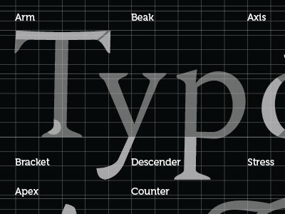 Anatomy Of Typography400x300