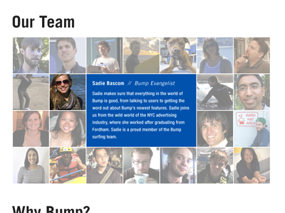 Our team! about bump rollover team website