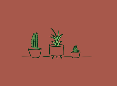 Plant Illustrations cactus design illustration succulent vector