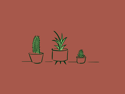 Plant Illustrations