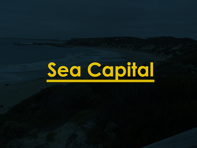 Sea Capital- Textualish Logo branding font logo sucks text typography yellow