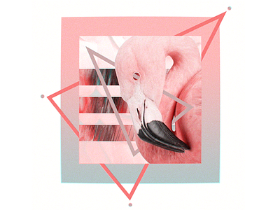 In The Pink chromatic collage digital flamingo pink polygonal