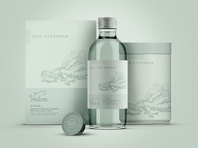 Luz Victoria bottle box branding capsule design design label legion brand madrid spain mexico packaging premium tea tea brand