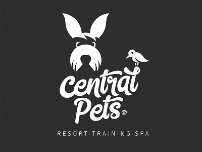 Central Pets branding identity lettering logo monogram type