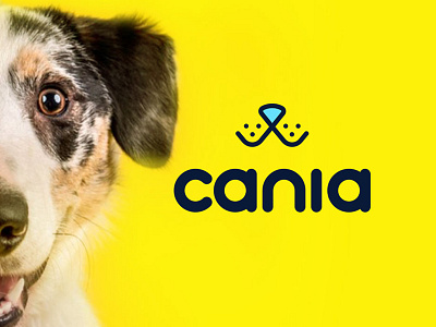 Cania branding identity lettering logo monogram type