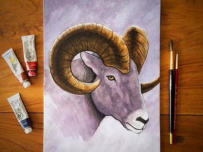Ram illustration painting