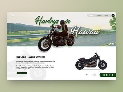Bike Rental Website Concept -WebDesign