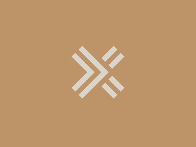 Xpress Plus Logo Mark