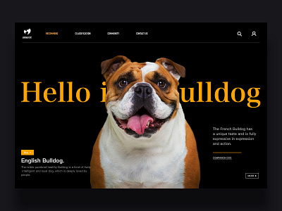 Pet webpage dog pets ui web ad