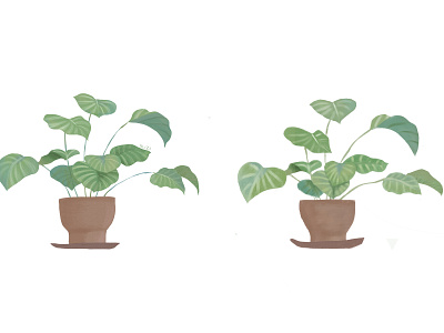 TABLET DRAWING02-plant