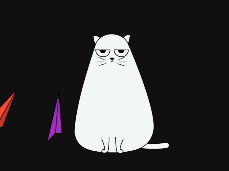 Cat 2d aftereffect animation dribbble motion motiongraphics