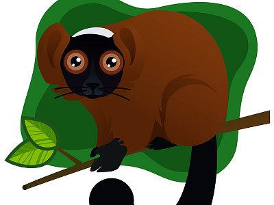 Red Lemur animal cute animal lemur red lemur vector