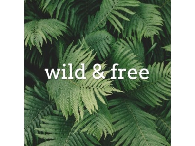 Wild Editable Banner art banner banners color design forest free green photo wild