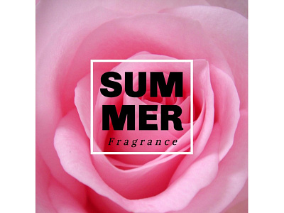 Editable Banner Design art banner banners color design fragrance photo rose summer