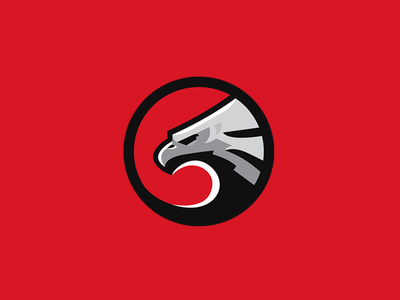 Eagle Logo branding design eagle eagle logo mascot logo