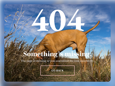 Daily UI: #003 404 page for Dog Trainer website