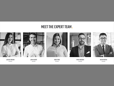 Meet the expert team