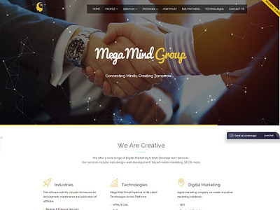 Mega Mind Group digitalmarketing piyush608 software company