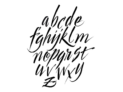 Brush alphabet calligraphy typography