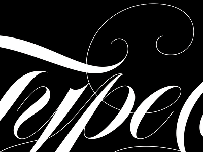 Type@Cooper Final Detail 1 calligraphy lettering type@cooper typography vector