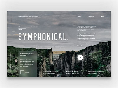 Symphonical graphic designer photoshop uiux design website design