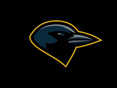 Blackbird bird blackbird branding classic concept design logo sports
