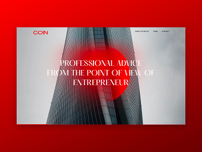 Coin financial consulting