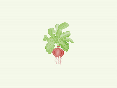 Radish water color logo design inspiration abstract branding creative design graphic illustration logo radish logo radish vegetable logo radish water color vector water color logo