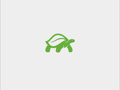 Ecological Tortoise