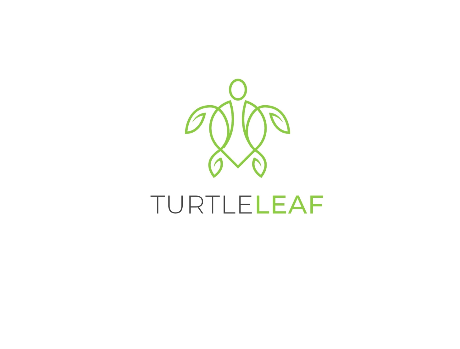 Tortoise logo design by Mr Shams Jaman on Dribbble