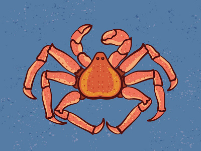 Crabshack crab crusty crab justin beiber one direction