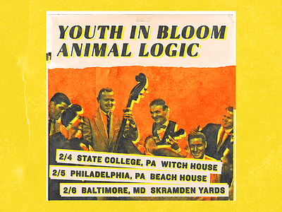 Animal Logic animal logic justin bieber punk punx youth in bloom