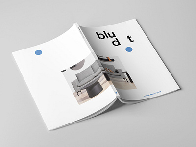 Blu Dot Annual Report
