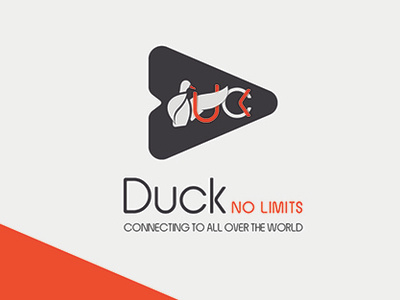 Logo Duck branding design illustrator logo design