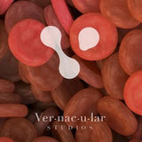 SJ Okemow | Vernacular Studios