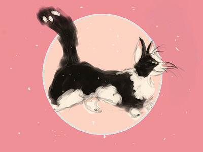 cute kitty～ animals cute illustration ipad kitty
