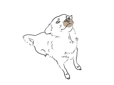 😆 animals color cute dogs illustration ipad