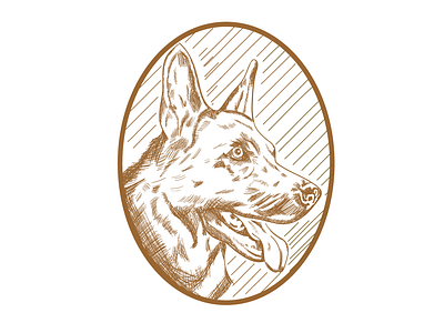 Dog animal design digital digital illustration dog drawing german illustraion illustration illustrator logo pet shepherd shepherd dog vector vintage