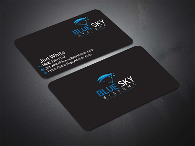 bluesky brand brand identity branding businesscard corporate identity logo logodesign skydiving software software company