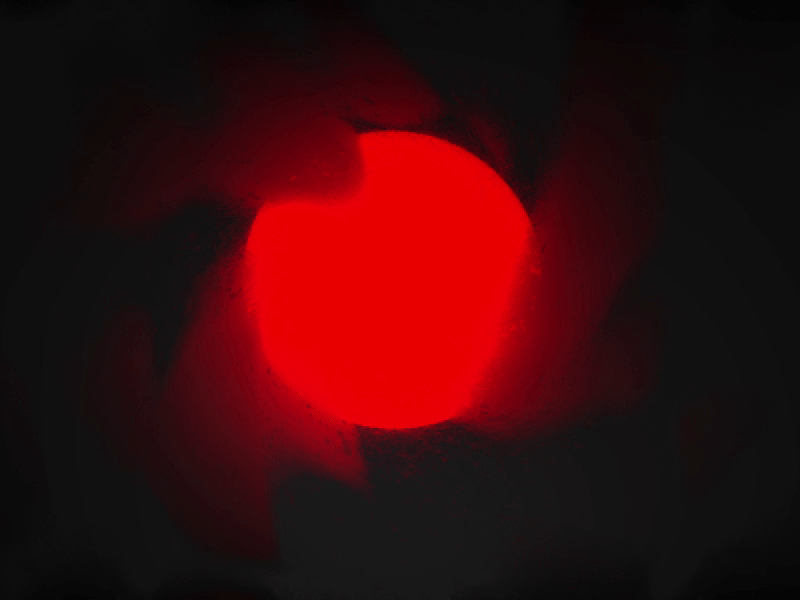 (╯°□°）╯Full moon \O/ 2020 2d after effects animation art best effects blood circle condensate design effects experiment fast full moon glass halloween moon random red steam