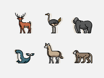 Zoo - Lineal Color Icon animal color design icon illustration zoo