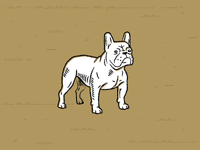 French Bulldog branding french bulldog texture vector