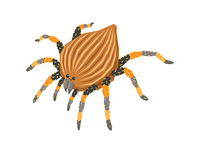 Nutty Tarantula arachnid art design food fusion graphic illustration illustrator insect nut tarantula taste