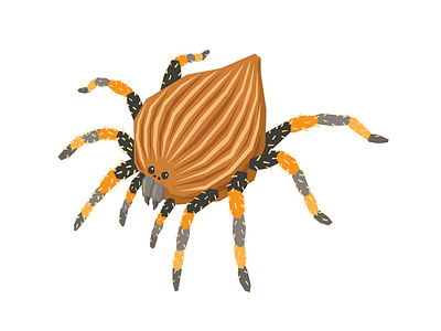 Nutty Tarantula