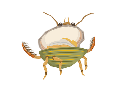 Water Clam Beetle art beetle bug clam design food graphic illustration insect taste water